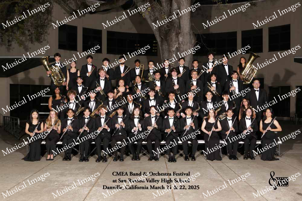 Musical Images